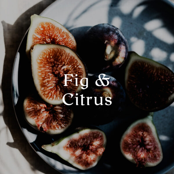 Cereria Molla Fig & Citrus Reed Diffuser – Innovative Home Brands