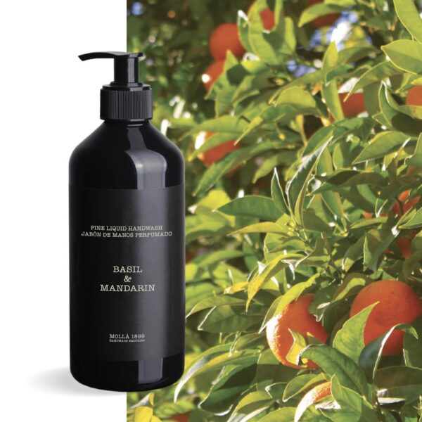 Cereria Molla Basil & Mandarin | Hand & Body Wash